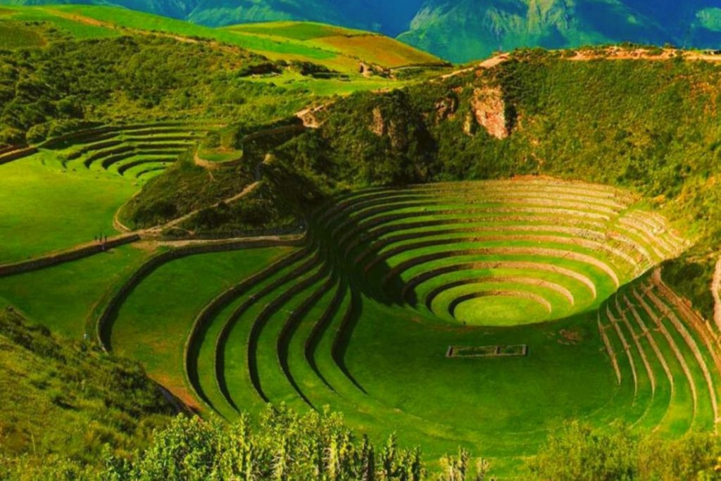Moray in the sacred valley 