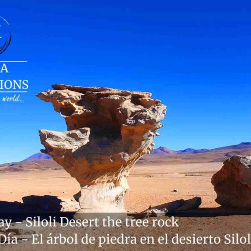 Second Day - Siloli Desert the tree rock in the Salt Flat of Bolivia