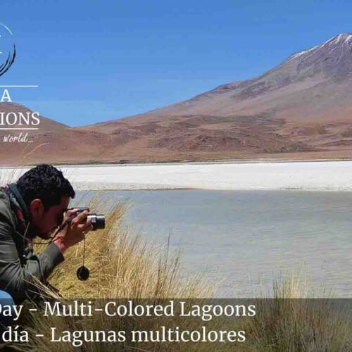 Second Day - Multi-Colored Lagoons with flamingos
