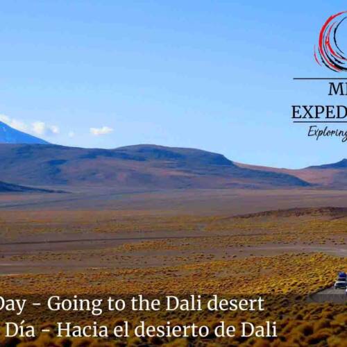 Second Day - Going to the Dali desert in uyuni salt flat