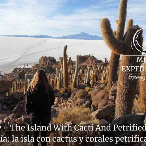 First Day - The Island With Cacti And Petrified Coral in uyuni salt flat